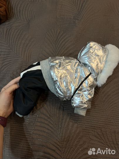 Комбинезон для маленькой собаки