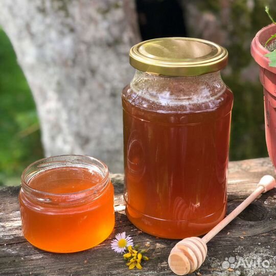 Мед разнотравие, прополис