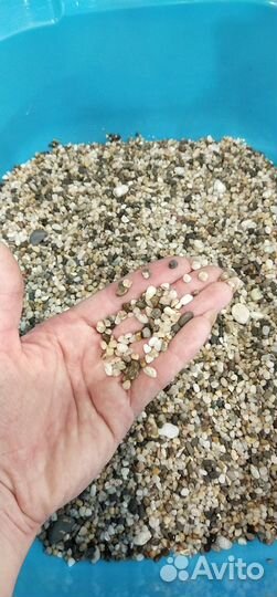 Аквариум + аксессуары