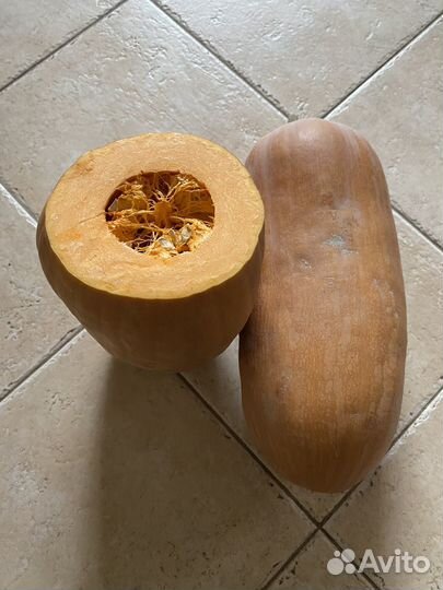 Семена Мускатной тыквы 13 г Цена за все