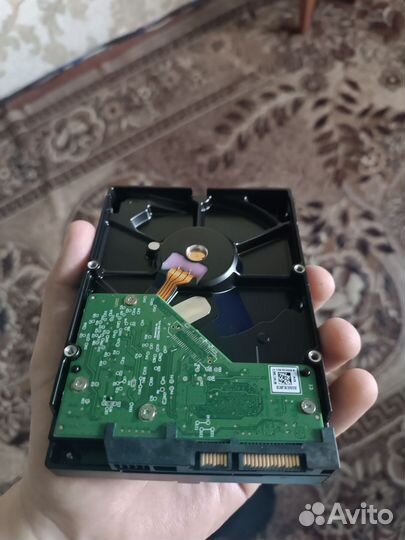 Жесткий диск 500 гб для пк