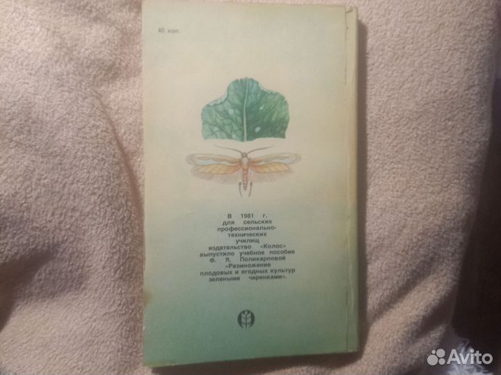 Борьба с вредителями и болезнями