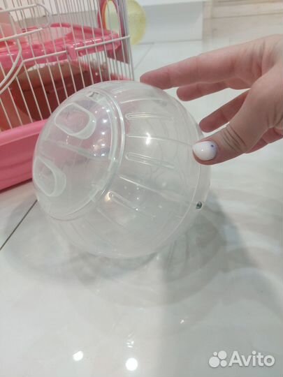 Хомяк с клеткой