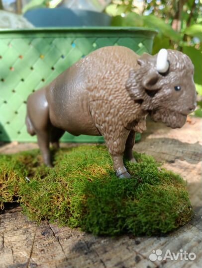 Kinder maxi natoons бизон