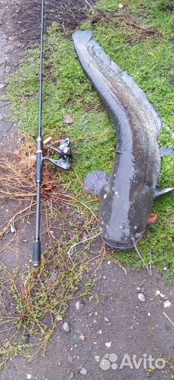 Организация отдыха и рыбалки