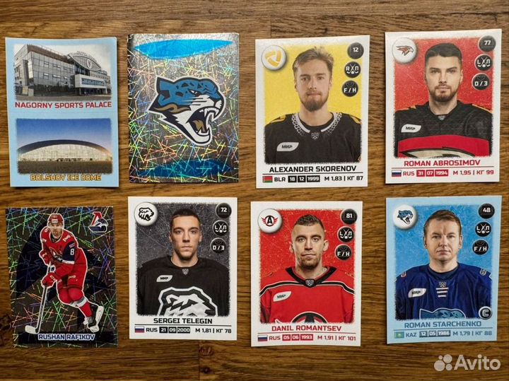 Наклейки Panini кхл 2023 2024