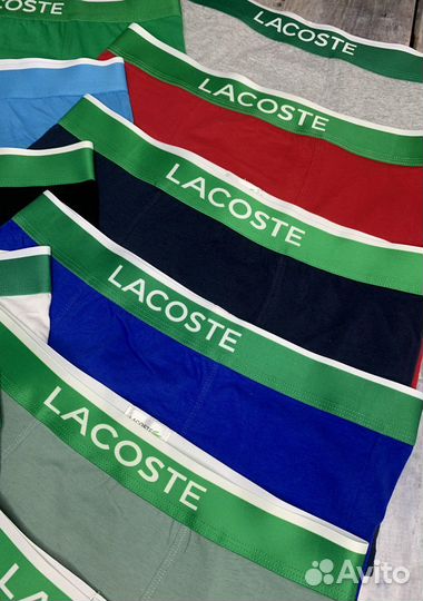 Трусы мужские 5+1 lacoste