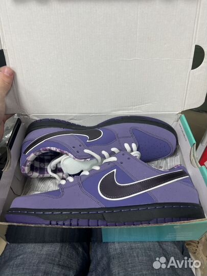 Nike SB dunk low purple Lobster