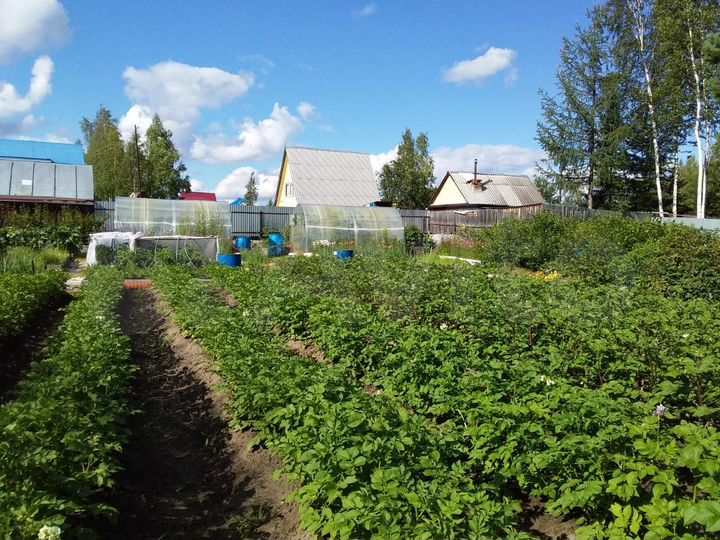 Дача 54 м² на участке 14,5 сот.