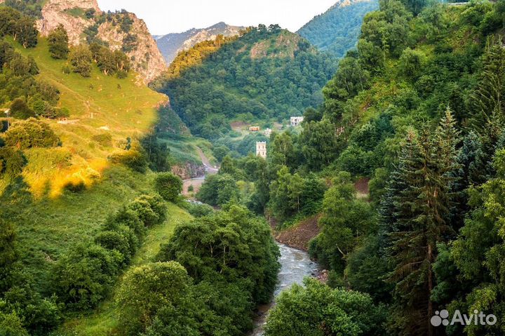 Экскурсия Долина нарзанов