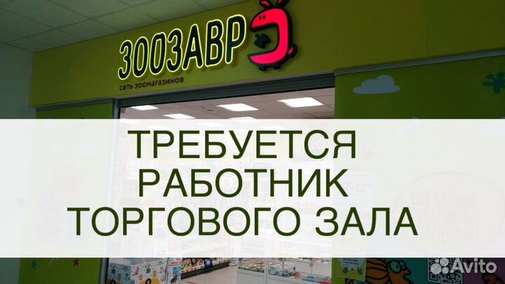 Работник торгового зала ежедневные выплаты