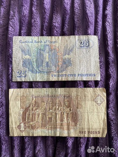 Египетский фунт. Банкноты