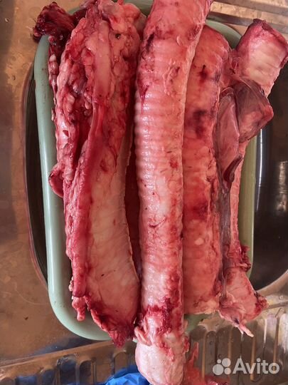 Трахея говяжья(мясо для собак)