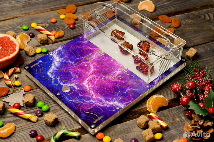 Муравьиная ферма