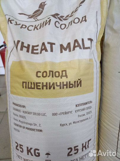 Солод для пива