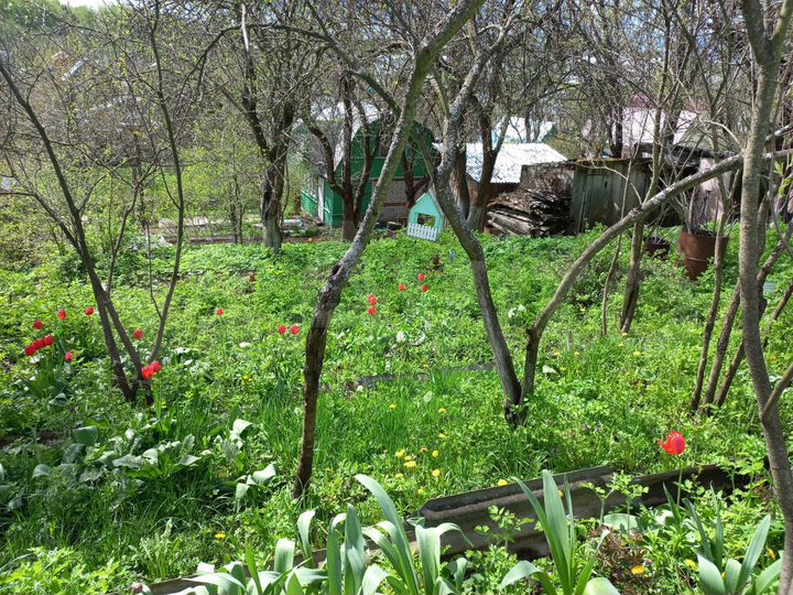 Дача 40 м² на участке 4 сот.