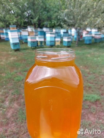 Мёд разнотравье