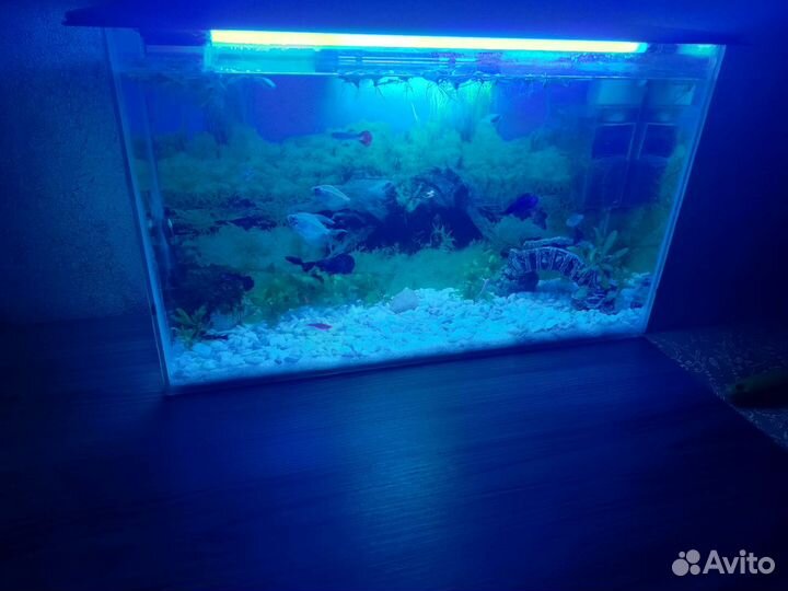 Все для аквариума)
