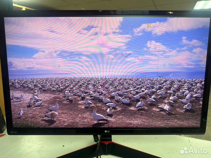 Монитор LG 27MP59G