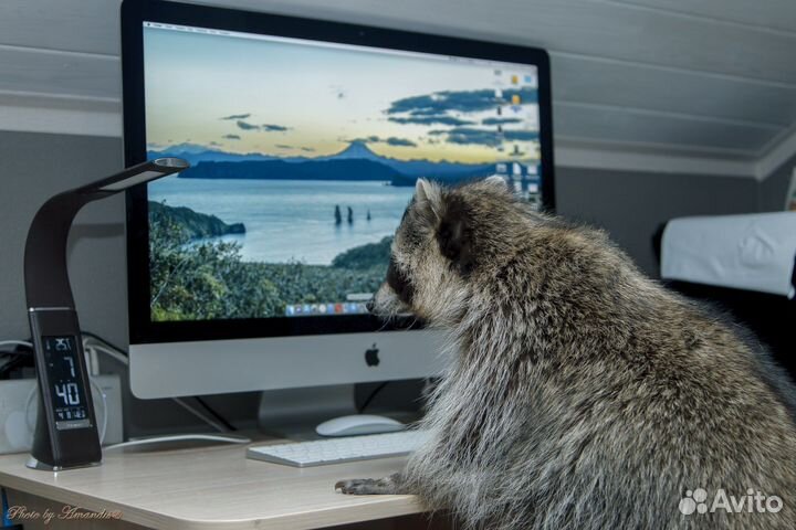 Нерабочий моноблок Apple iMac 27