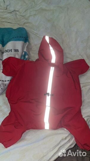 Дождевик для собаки средних пород