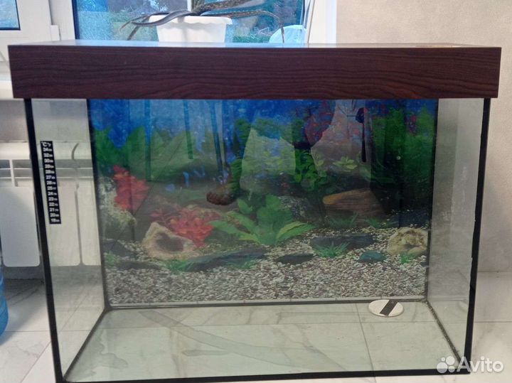 Аквариум
