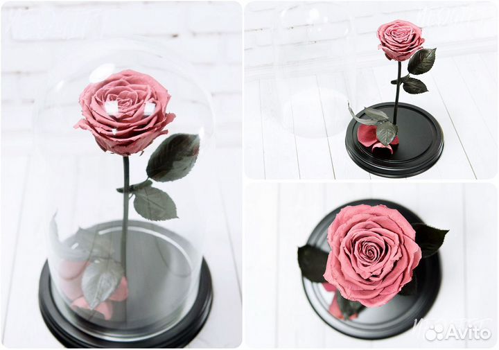 Роза в колбе Живая Премиум розы Кемерово