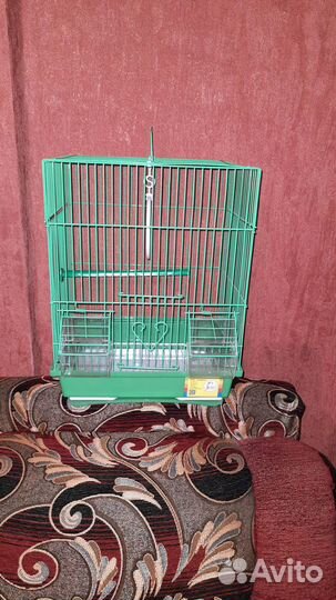 Волнистые птенцы 35д в центре