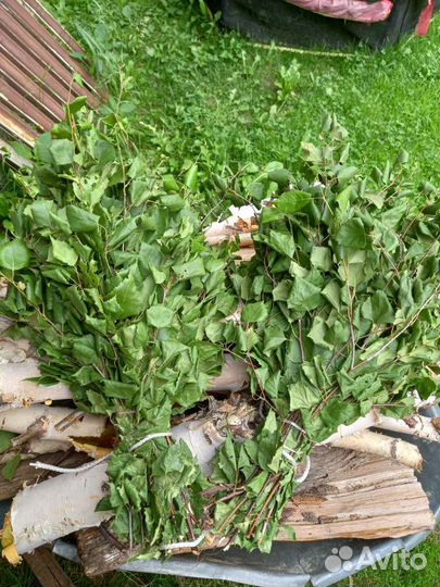 Веники берёзовые для бани