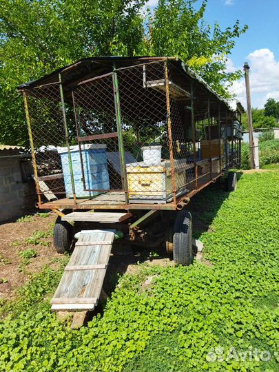 Пчело-телега