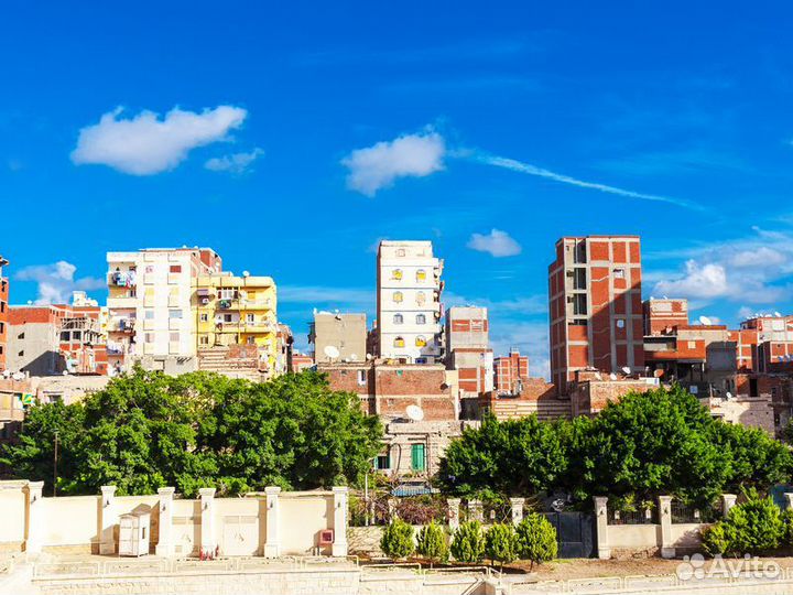 Экскурсия — Каир — Путешествие из Каира в Александ