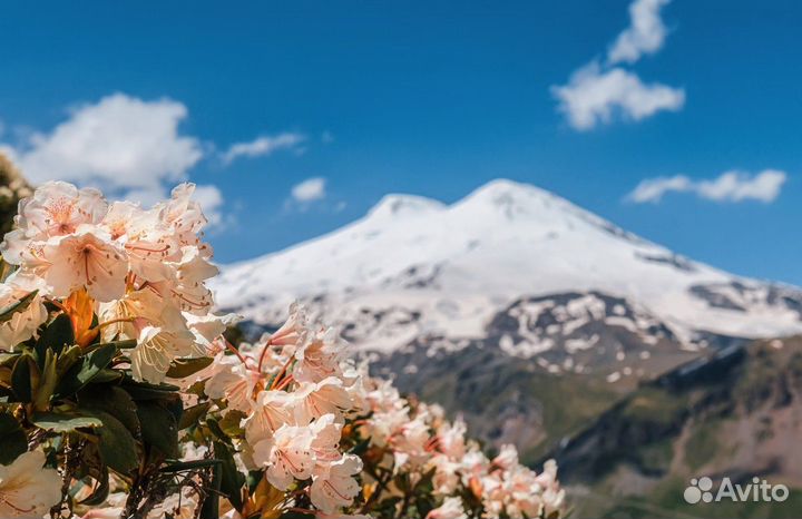 Экскурсия — Ессентуки — К могучему Эльбрусу — чере