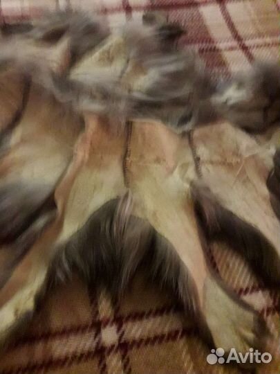 Меховой воротник песец