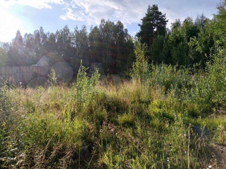Участок 9 сот. (СНТ, ДНП)