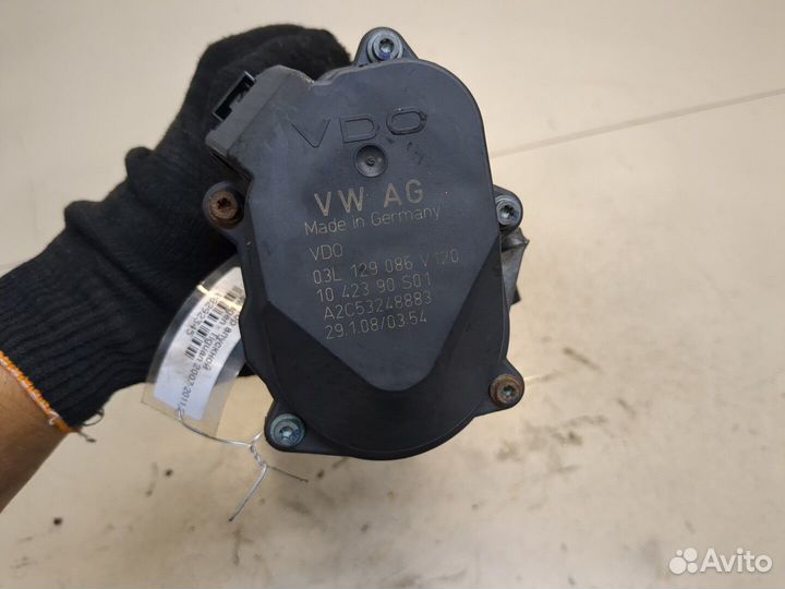 Коллектор впускной Volkswagen Tiguan, 2008