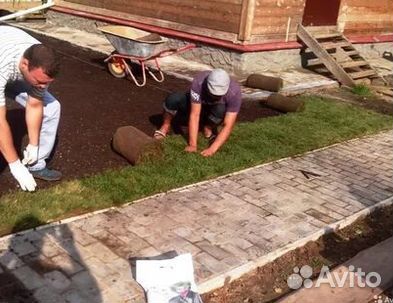 Рулонный газонУкладка Рулонного газонаГазон от про