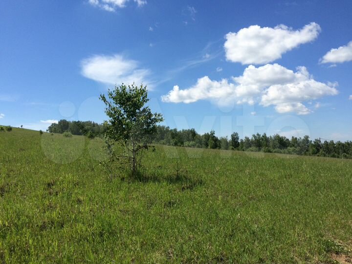 Участок 7,5 га (СНТ, ДНП)