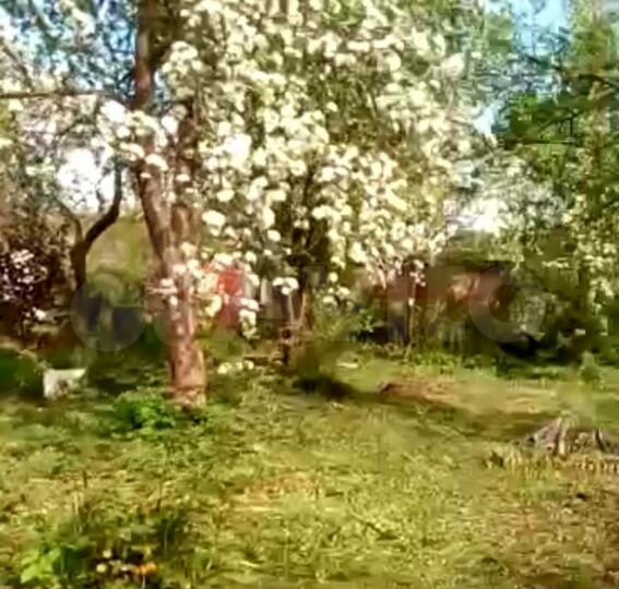 Участок 4,7 сот. (СНТ, ДНП)