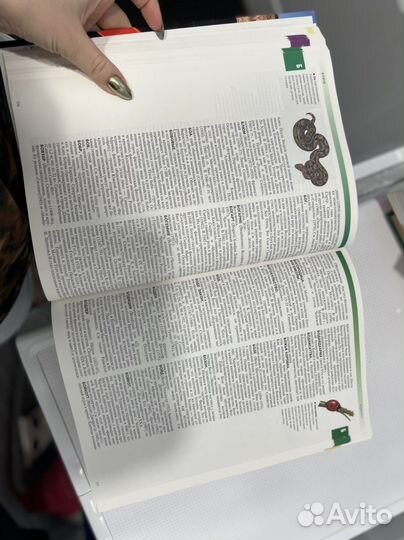 Большой иллюстрированный энциклопедический словарь