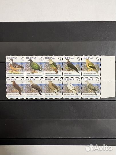 2007 г. Филиппины. Фауна