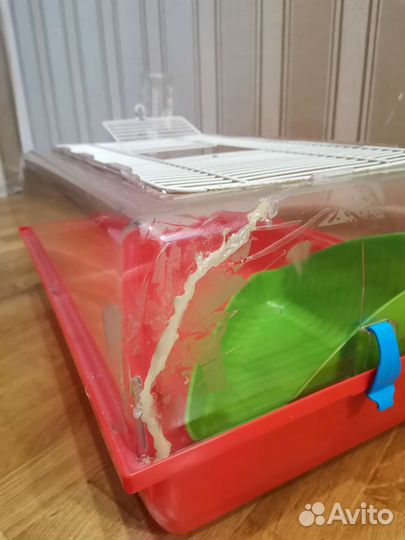 Клетка и аксессуары для морской свинки