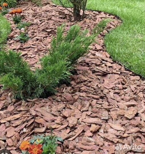 Кора Лиственницы в наличии #ландшафт защита мульча
