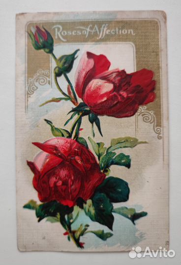Антикварные открытки цветы