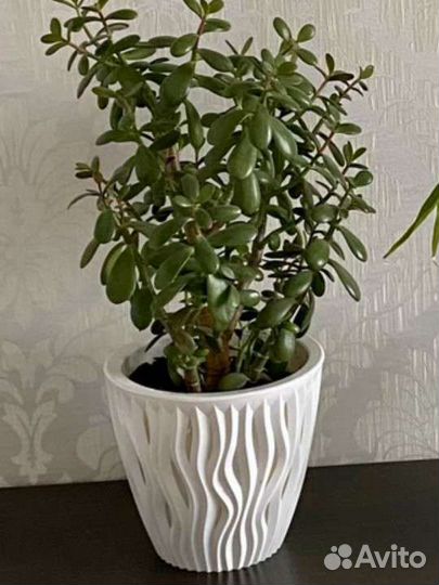 Кашпо для цветов