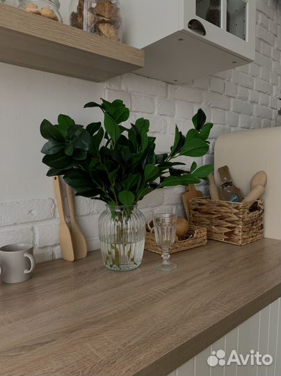 Ветка лимона