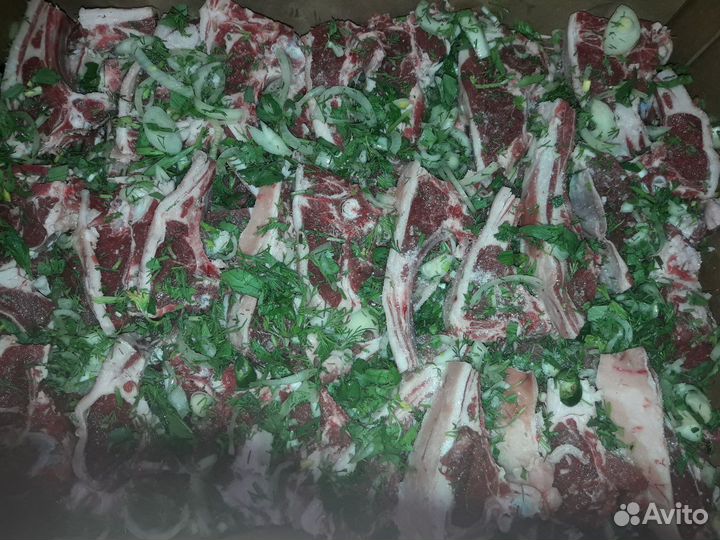 Баранина курдючная