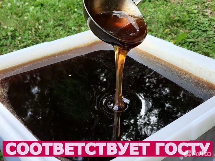 Мёд оптом с Алтая в Королёве