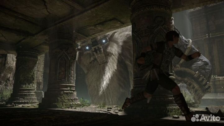 Shadow of The Colossus PS4/PS5 на русском