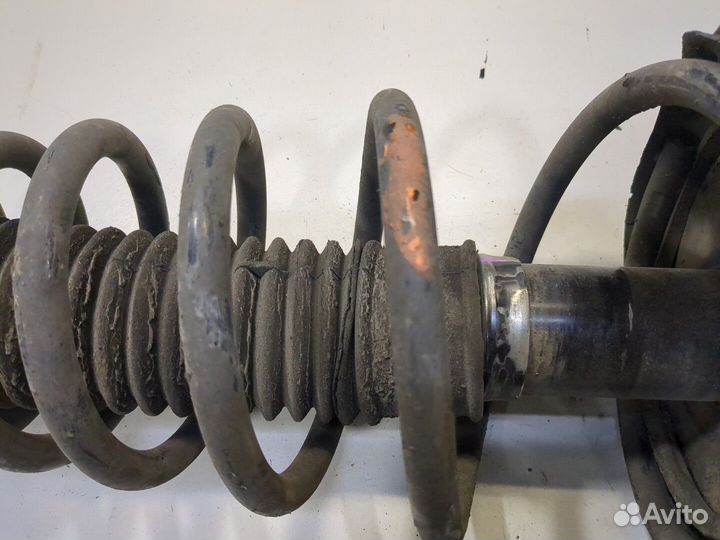 Амортизатор подвески Toyota Camry V40, 2008