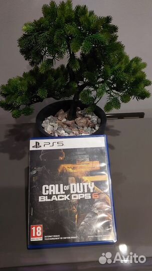 Call of duty black ops 6